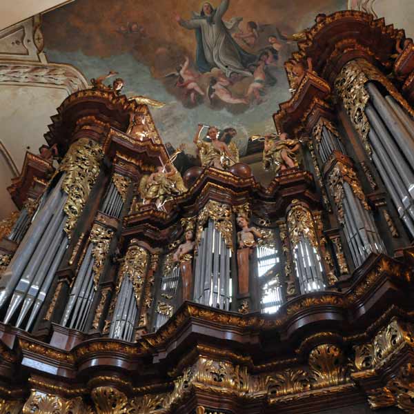 Vánoční varhanní koncert:Novoroční koncert