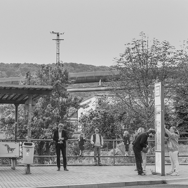 HOUPACÍ KONĚ + TOMÁŠ PALUCHA