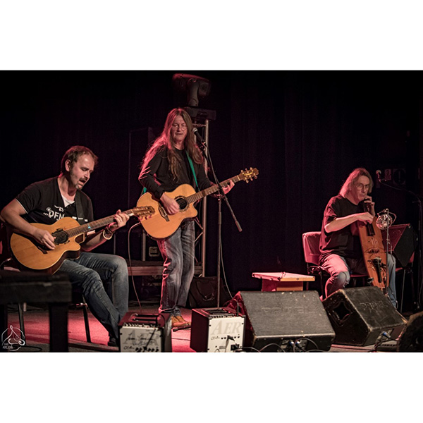 IVAN HLAS TRIO