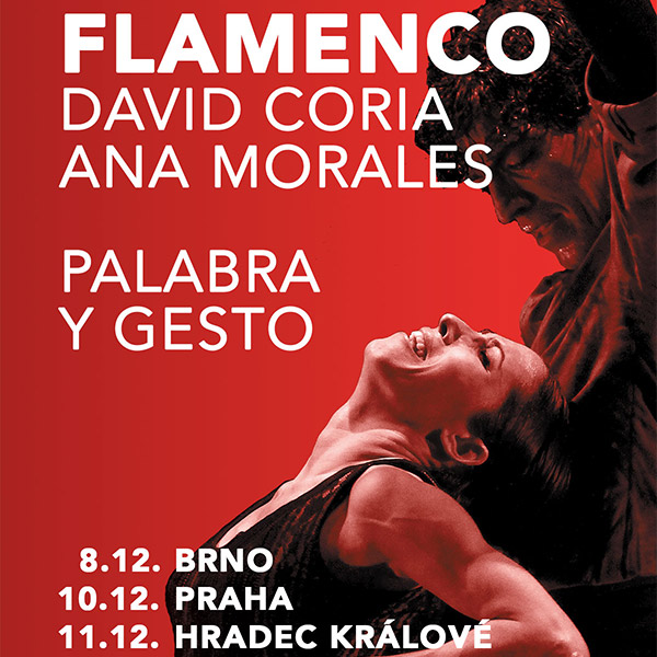 FLAMENCO / David Coria & Ana Morales