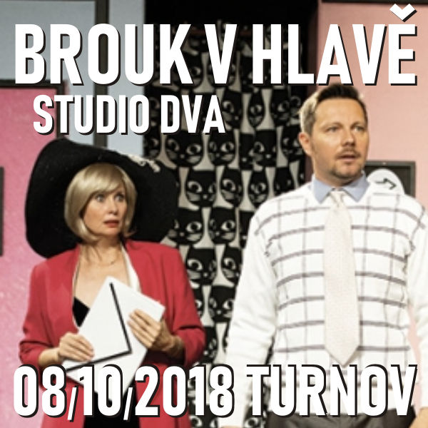 BROUK V HLAVĚ / Studio DVA