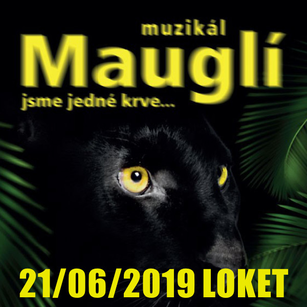 MAUGLÍ / Divadlo Kalich