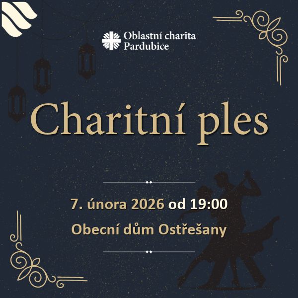 11. CHARITNÍ PLES
