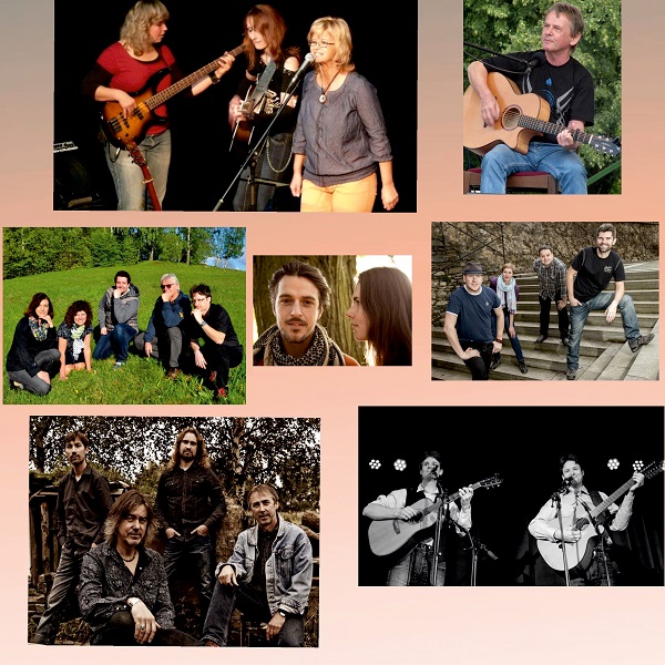 Slatiňanský vrabčák - 15. ročník