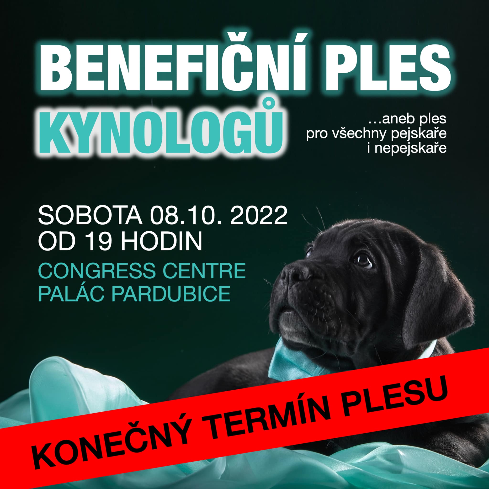 BENEFIČNÍ PLES KYNOLOGŮ