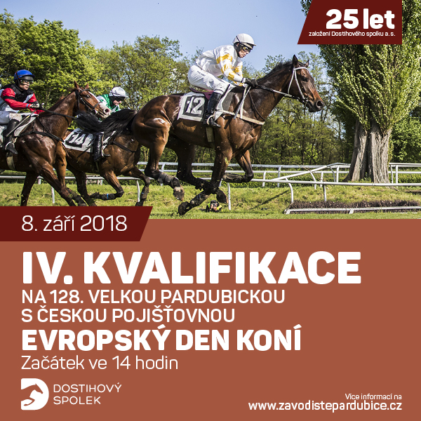 IV. kvalifikace na 128. Velkou pardubickou s ČP