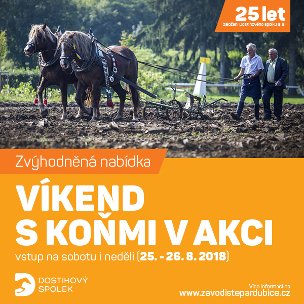 Víkend s koňmi v akci