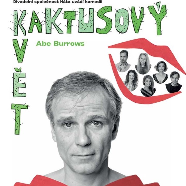 KAKTUSOVÝ KVĚT