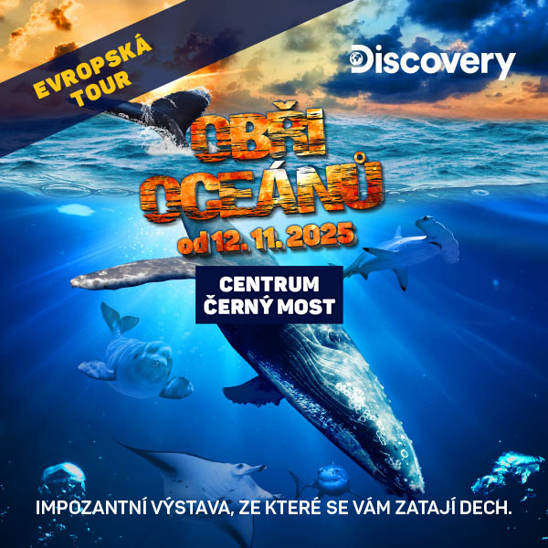 OBŘI OCEÁNŮ - IMPOZANTNÍ VÝSTAVA