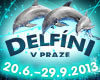 DELFÍNI V PRAZE - Plavání s delfíny